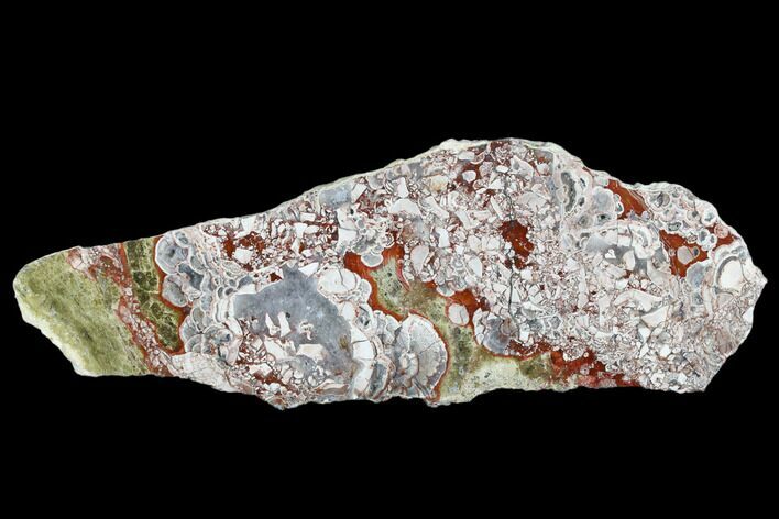 Polished Mushroom Jasper Slab - Arizona #184820